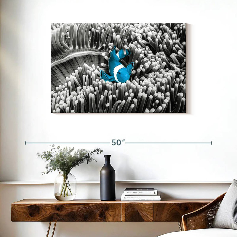 Brampt Clownfish Pop, 24" H x 36" W