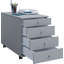 Rayiona 42cm Wide File Cabinet-625725787-625725788