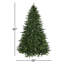 Arbre de Noël pin de l'Oregon-274877114