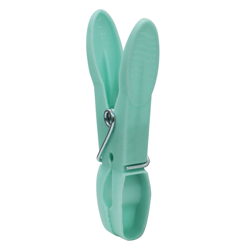 Plastic Clothes Pin