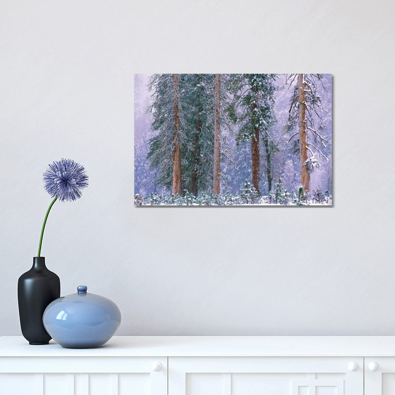 Winter in Yosemite National Park, California 1 Piece Wrapped Canvas Painting, 30.48 cm H x 45.72 cm W