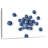 Yarlin Delicious Blueberries-108733408