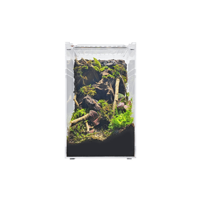 Acrylic Reptile Terrarium, 2 Gallon - 9.5"H x 6"W x 6"D