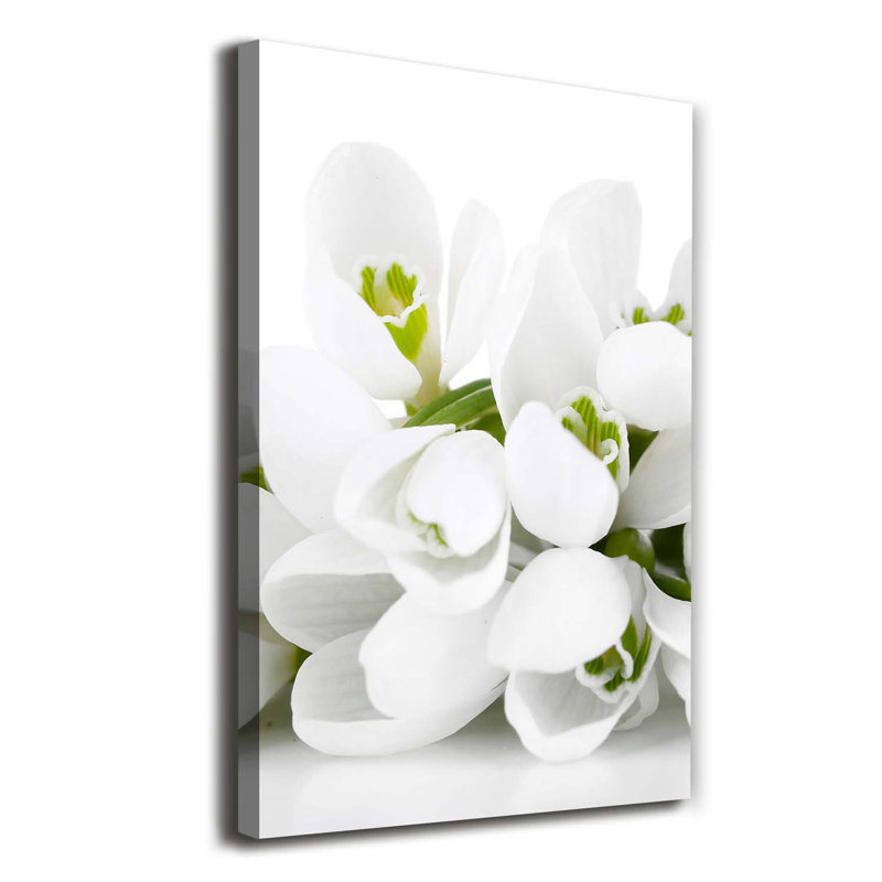 White Snowdrops - Wrapped Canvas Print