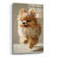  «Cute Fluffy Pomeranian 2» par Ann Klee, art mural en verre acrylique, 24 po x 36 po-847644119