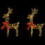 Holiday Lighting