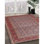 Oriental Indoor Rug