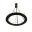 36 - Light Chandelier