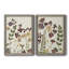Pressed Flower Arrangement V - Ensemble de 2 reproductions d'art-137164410-147857828-147857829