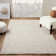 Textured Fringed Area Rug