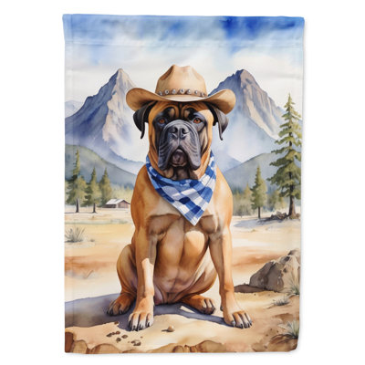 Drapeau Cowboy Welcome House