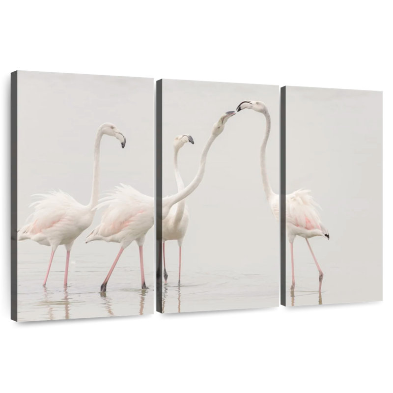 Pristine White Flamingos, 32" H x 50" W