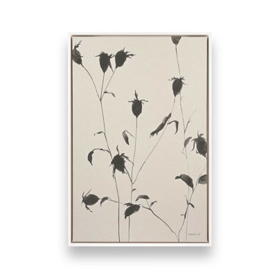 Black Ink Botanicals II Canvas Print