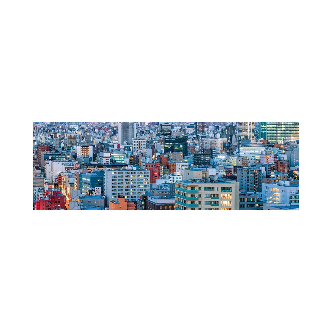 Urban Cityscape Panorama, Tokyo, Japan by Jan Becke - Wrapped Canvas Panoramic Photograph