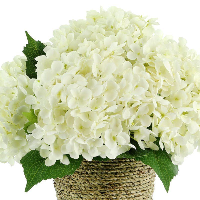 Hydrangeas Arranged in Straw Grass Pot