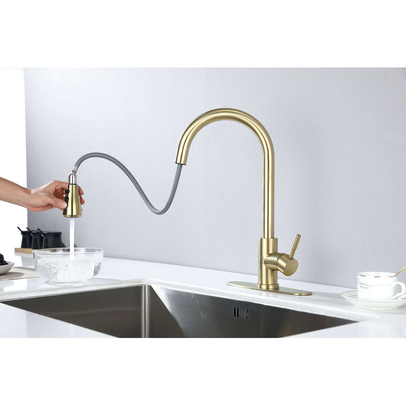 Kitchen Faucet With Pull Out Spraye