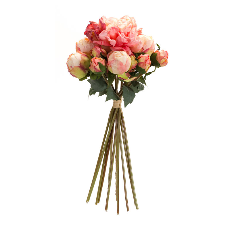 Tiges de pivoines, buissons et jets, Rose