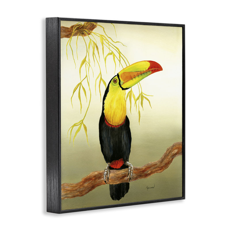 «One Toucan on Branch», estampe numérique par Christine Reichow, Giclée encadrée noir minuit, H 30 po x l 24 po