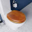 Antique Solid Pine Toilet Seat - Ergonomically Shaped for Comfort, Adjustable Hinges 110-200mm, Brass Fixings, All Fittings Included-62292481