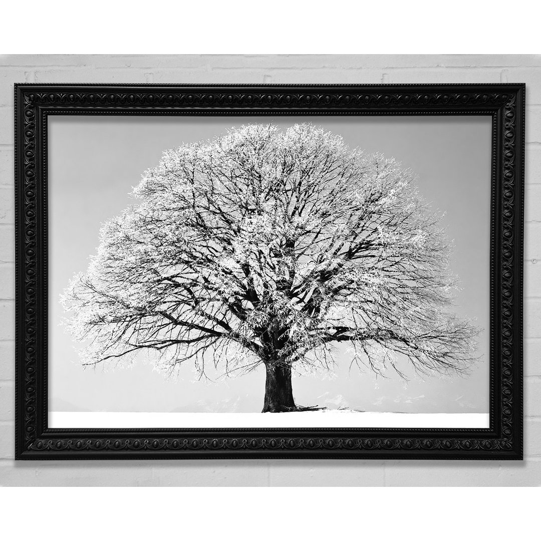 Winter Snow Tree B N W - Druck