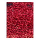 Hand Woven Cotton and Wool Striped Area Rug