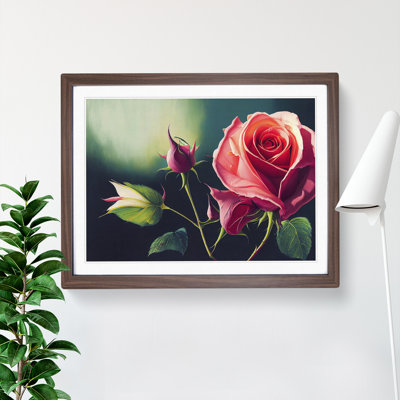 Splendid Rose Flowers - Framed Print