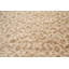 Tapis beige en laine noué à la main de conception unique 9 pi x 12 pi