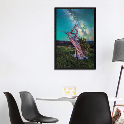 Milky Way Night Sky Over Ancient Bristlecone Pine Tree In Colorado 1 Piece Wall Art on Canvas