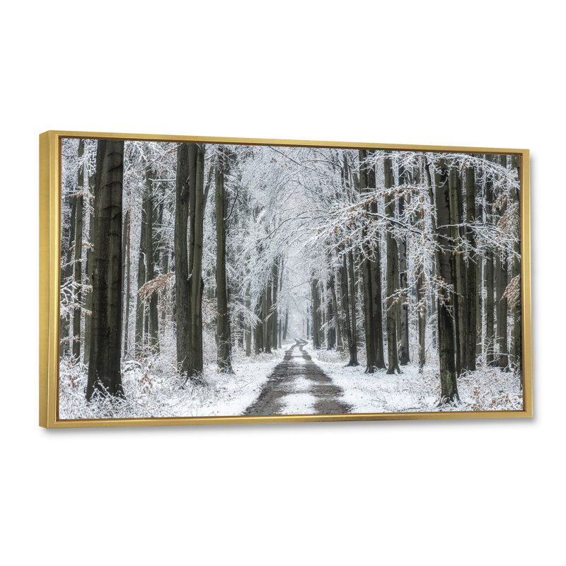 Forêt d'hiver - Photographie sur toile, H 12 po x l 20 po x P 1 po, Cadre doré