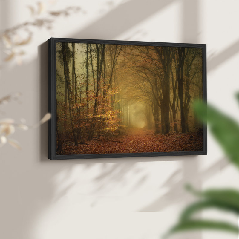 Early Light -Framed Print - Restickable