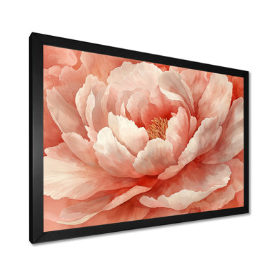 Pivoine rose rougissante - pivoines, art mural