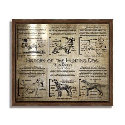 Histoire du chien armé - collage de race