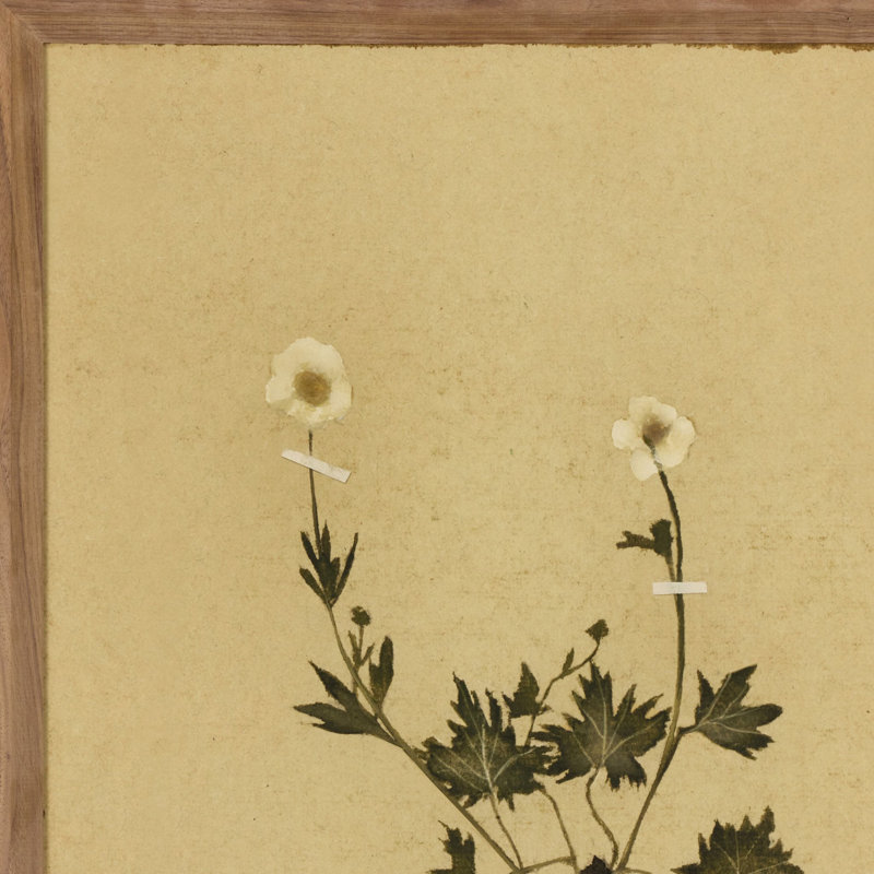 Petite Study Triptych Painting by Hannah Winters, 24" H x 72" W