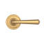 Lifetime (PVD) Satin Brass Door Lever