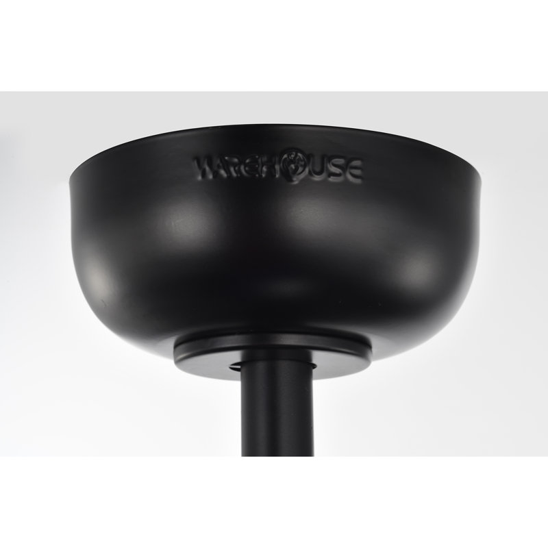 21.7'' Ceiling Fan with Light Kit