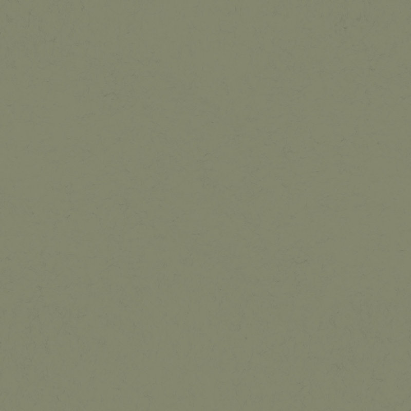 Rouleau de parget abstrait, Olive