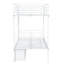 European Single (90 X 200 Cm) Bunk Bed with Storage Included with Built-in Ladder Included-1847057286