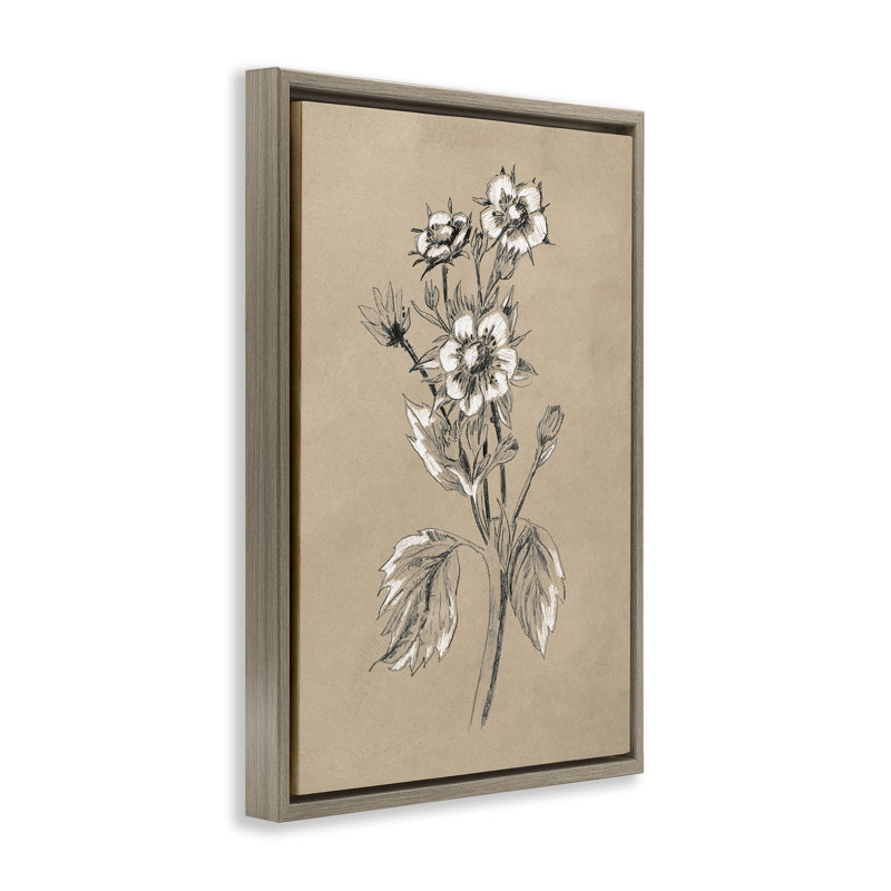 Dessin de fleur de pommier, toile flottante encadrée par June Erica Vess, H 25 po x l 17 po, Cadre flottant orme Montalcino