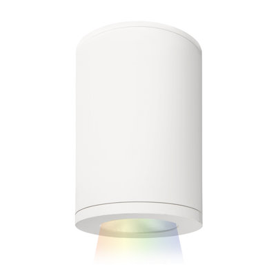 Tube 1 - Light LED Flush Mount