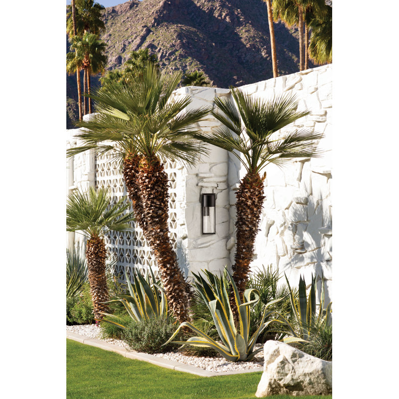 Shelter 1-Light Outdoor Sconce, Hematite