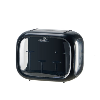 Rooshi Plastic Decorative Box
