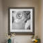 Renoncule foncé IV - cadre photo-1179599685-1179620649-1179599675
