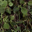 Boule de vigne ange artificiel vert-966220343