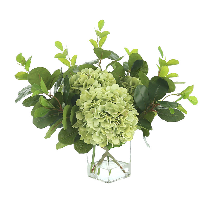 Hydrangée et ficus dans un vase en verre carré