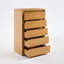 Fere 30" W 5-Drawer Dresser-15018529