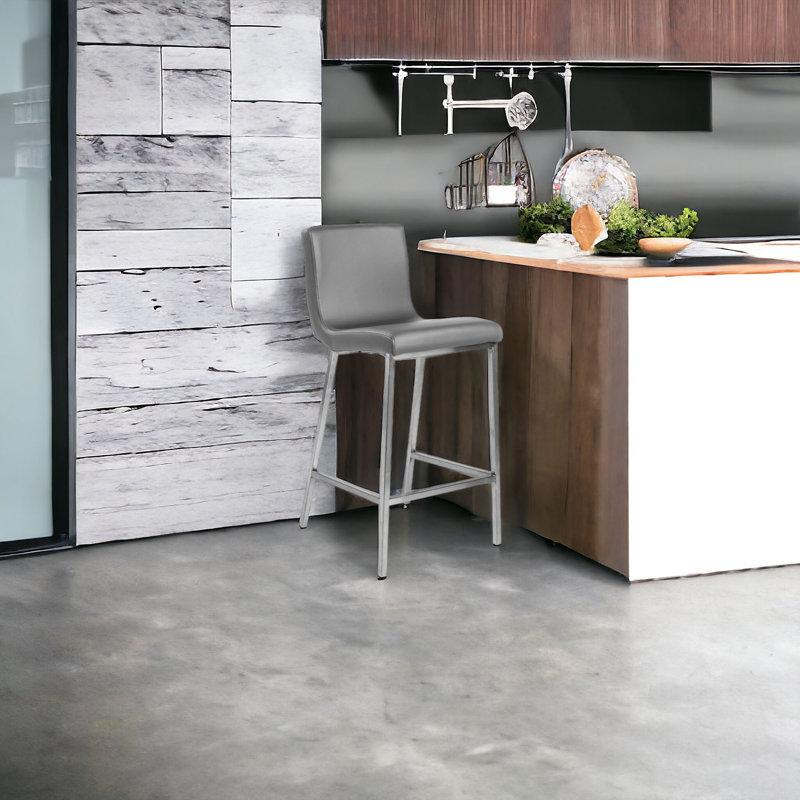 Myakka 25.99" Counter Stool, Grey/Silver