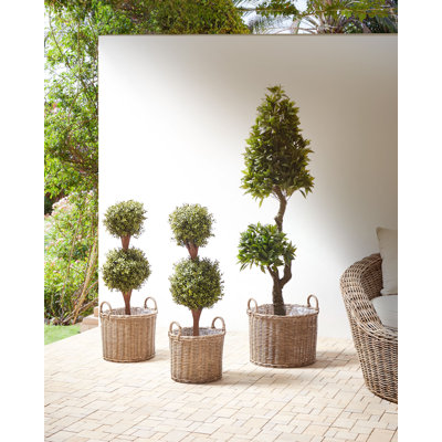 Allese Handmade Pot Planter