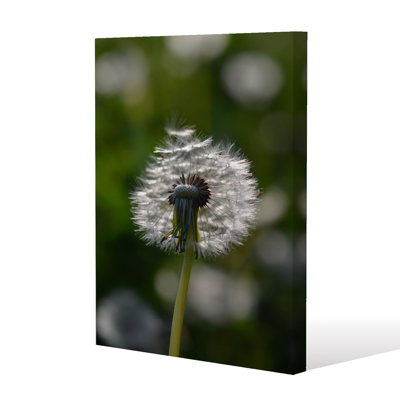 Andrew Lee - Wrapped Canvas Print
