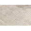 Area Rug in Beige