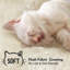 146 cm H Cat Tree / Condo-1399199814